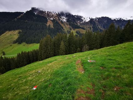 Foto von Dávid Alföldy entlang der Tour