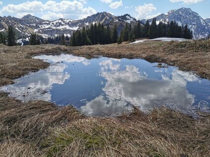 Fotografija s spletne strani Steinbock na poti