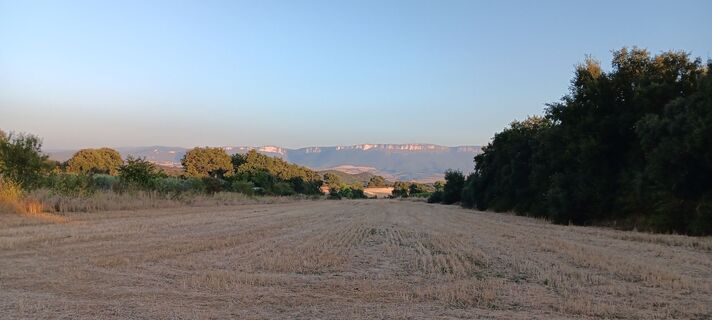 Fotografija s spletne strani Patrice Gouspy na poti