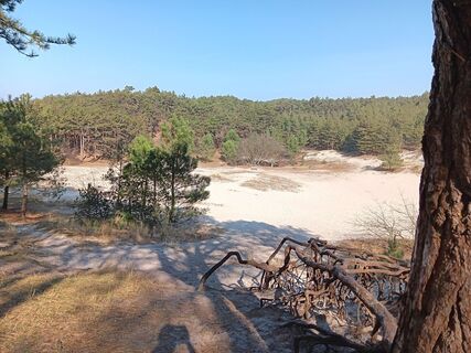 Zdjęcie z spartaan wzdłuż trasy