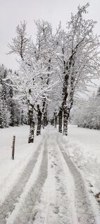 Fotografija s spletne strani Ineswanki na poti