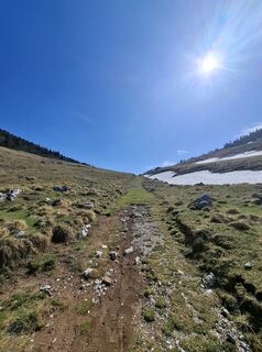 Fotografija s spletne strani Miha Gros na poti