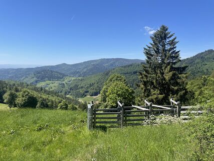 Photo de Ralf Umminger le long du parcours