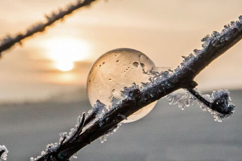 Frost