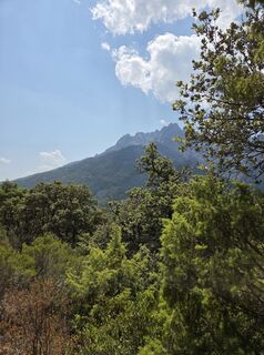 Foto von Jwemmenhove entlang der Tour