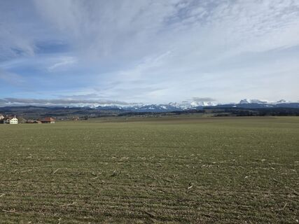 Photo de Massimo Romano 2 le long du parcours