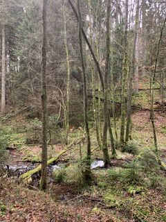 Photo from vieletausendkilometer along the tour