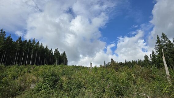 Foto von Astrid L. entlang der Tour