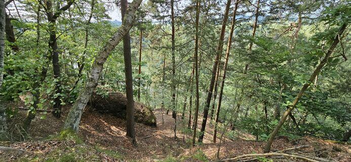 Foto van Andreas Henning langs de tour