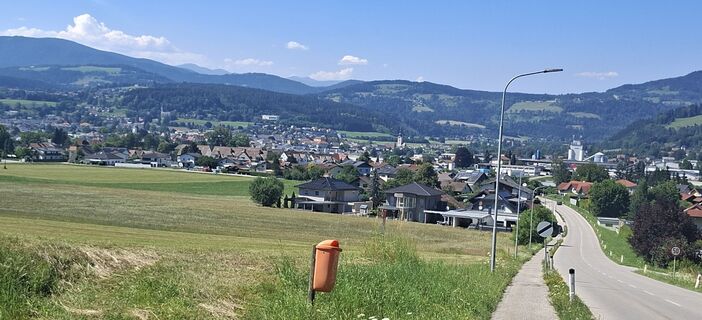 Foto von Mangolein entlang der Tour