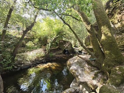 Foto de Michi Steiert a lo largo del recorrido