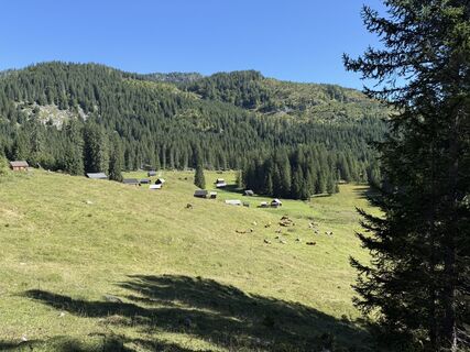 Photo de György Kovács le long du parcours