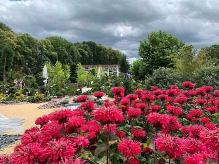 Mammutgarten, Prietitz