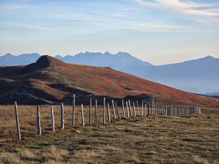 Fotografia z TwilightTea na trase