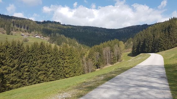 3.6 km Links oben: Bauer Eberl