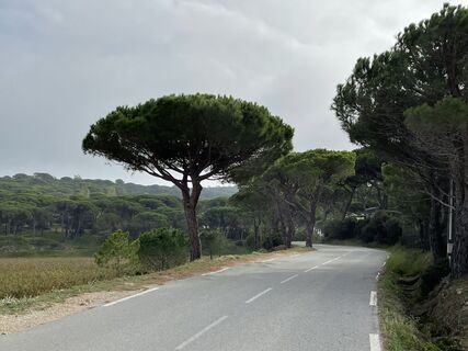 Photo de Udo Coors le long du parcours