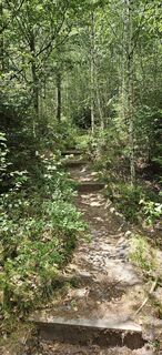 Photo de Bert le long du parcours