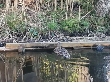 Fotografia z Turbinio na trase