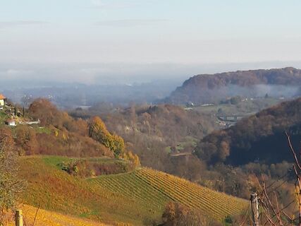 Fotografia z Arnold Glassnegg na trase