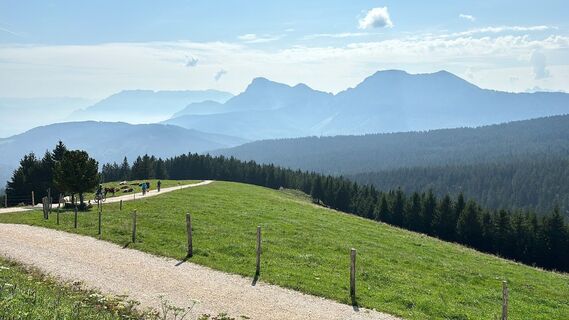 Anger_Stoisseralm