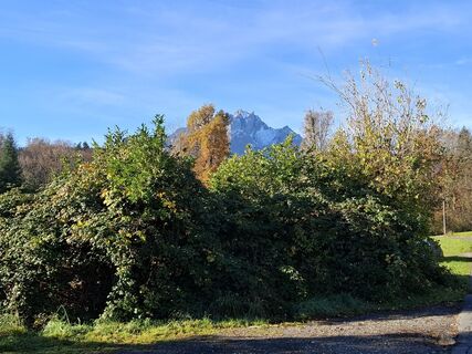 Fotografia z Maurer Silvia na trase