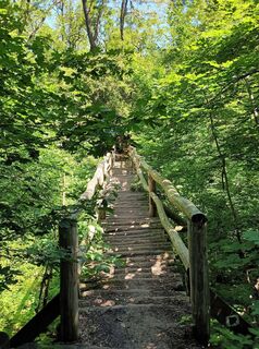 Foto de Julika Jármer a lo largo del recorrido