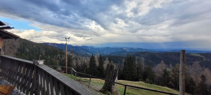 Fotografia z passiflora71 na trase