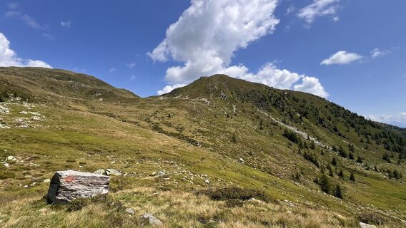 Photo de Mauro Calegari le long du parcours