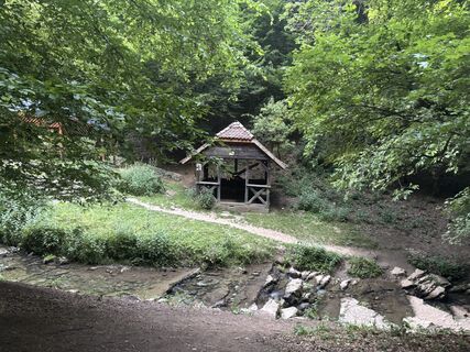 Fotografia z Reti Alicia na trase
