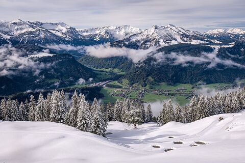 Blick von Baumgartn auf Reuthe