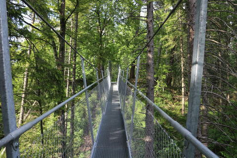 Hängebrücke am Oberhohenberg