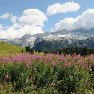 Altipiano del Montasio