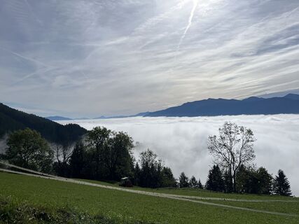 Foto fra Andrea Jamer underveis på turen