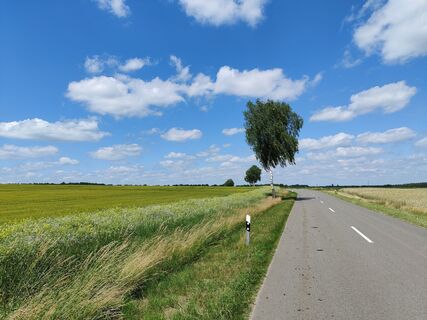 Zwischen Hösseringen und Räber