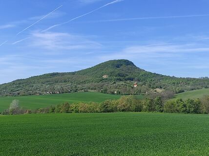 Zdjęcie z Làszló Visi wzdłuż trasy