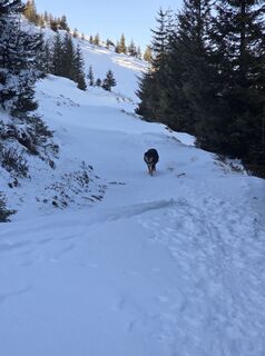 Foto von August Schmölzer entlang der Tour
