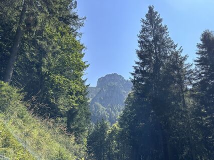 Fotografia z Norbert Herbig na trase