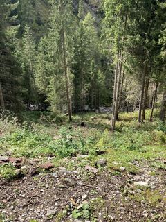 Foto fra andrea calabria undervejs på turen