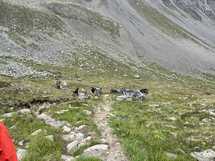 Foto von Nils Gernand entlang der Tour