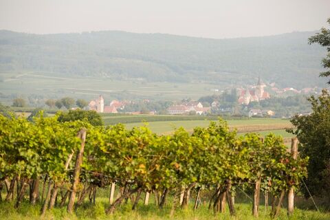 Blick auf Pulkau