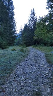 Fotografia z Madeleine Schumacher na trase