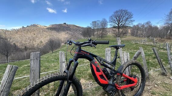 Fotografija s spletne strani denis lucchina na poti