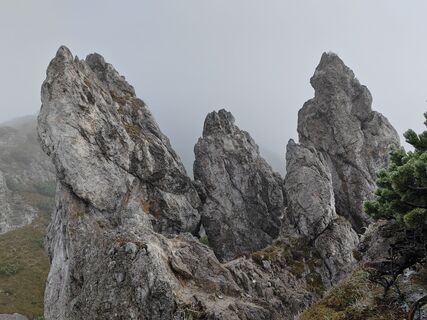 Foto von Monika Mezővári entlang der Tour