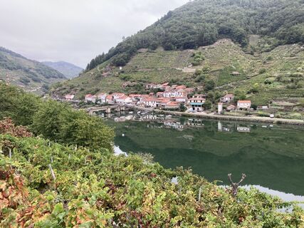 Ponte de Belesar