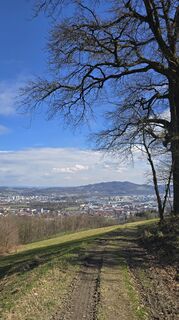 Foto von Andrea Butzerin entlang der Tour