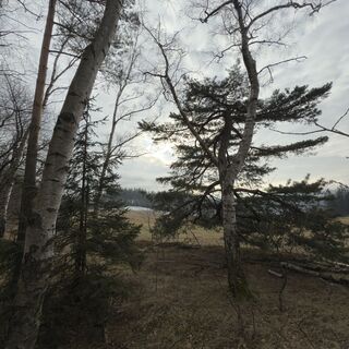 Fotografie z Steffen Kiesel na trase