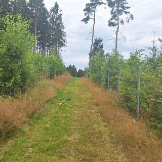 Birkheim Grenzgängerweg