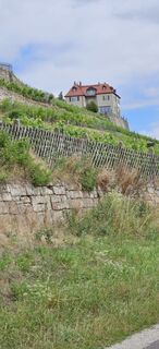 Fotografija s spletne strani Manfred Mumme na poti
