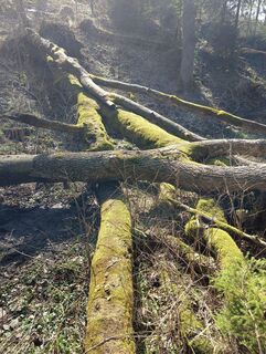 Foto von Romek Dwornik entlang der Tour