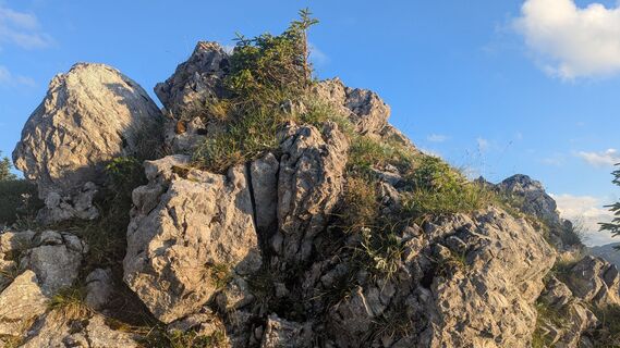 Foto de Thomas Heß a lo largo del recorrido